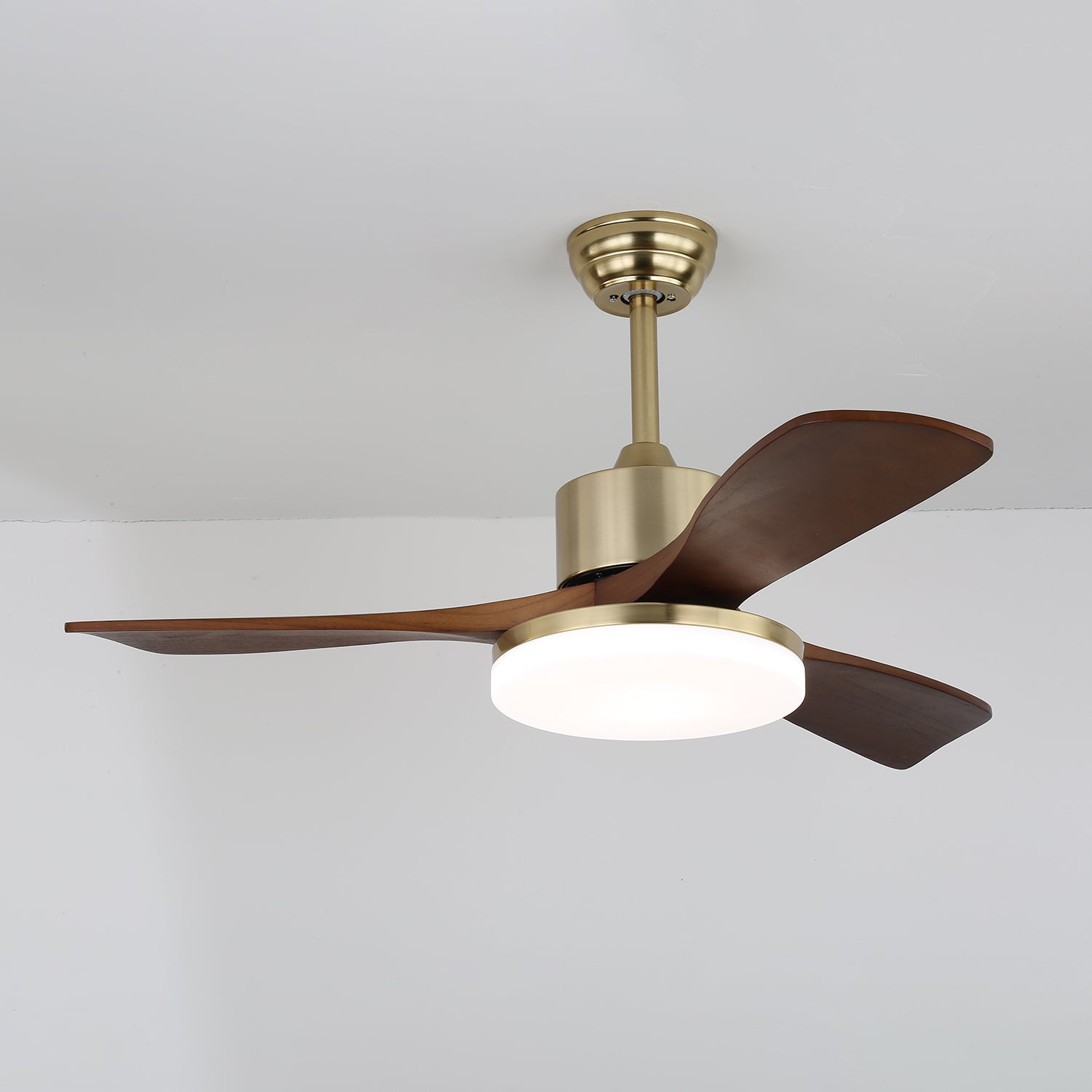 Ventilateur de plafond Felcorivo