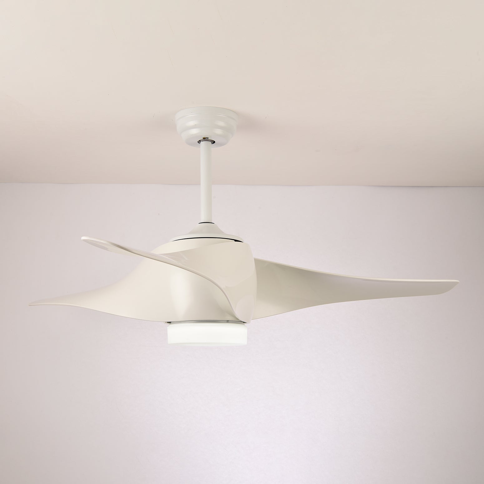 Ventilateur de plafond Fionéaire