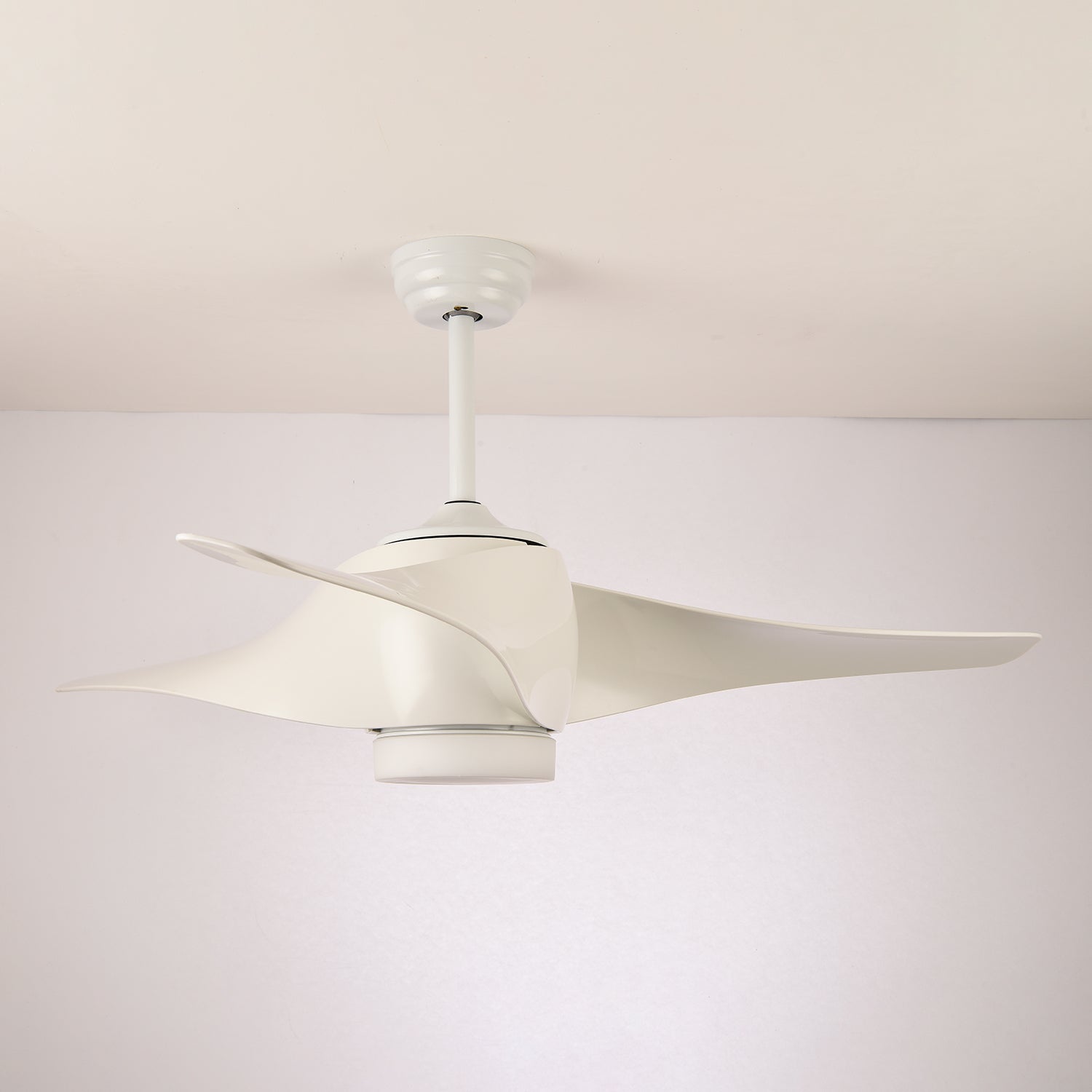 Ventilateur de plafond Fionéaire