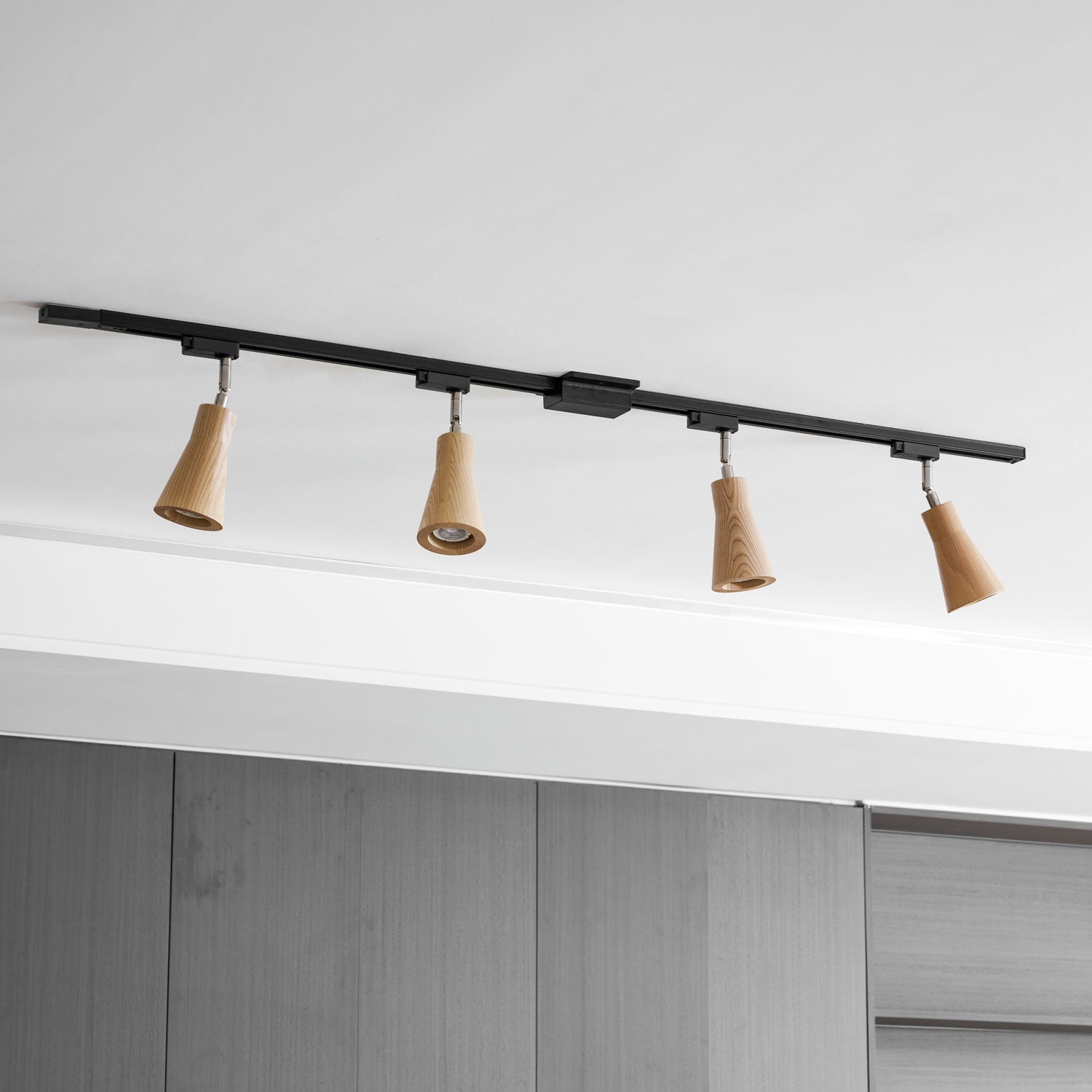 Plafonnier sur rail Borienon