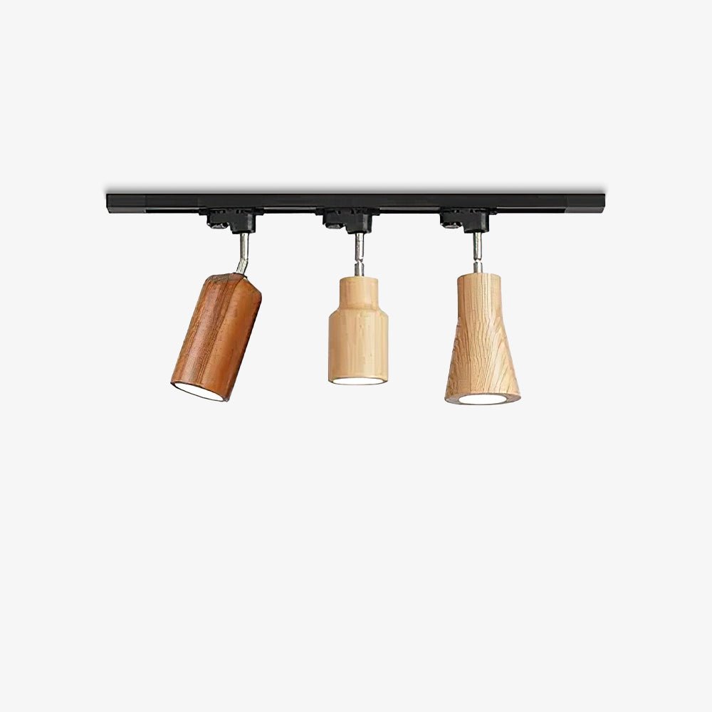 Plafonnier sur rail Borienon