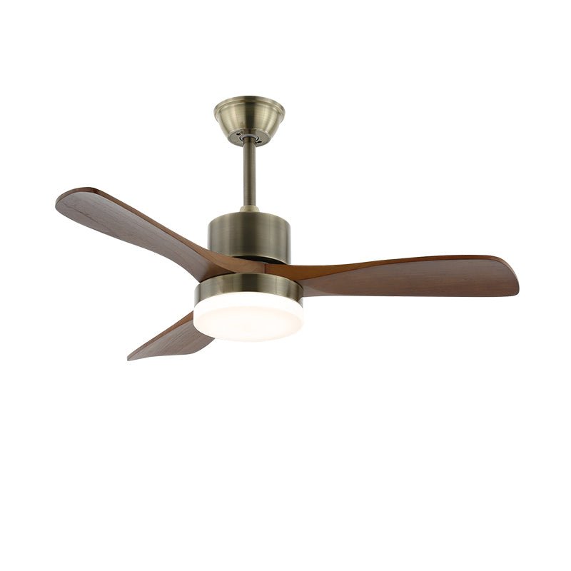 Ventilateur de plafond Pelnovoris