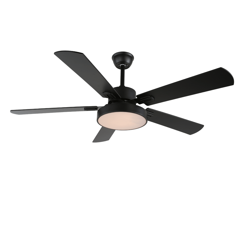 Ventilateur de plafond Licaleco