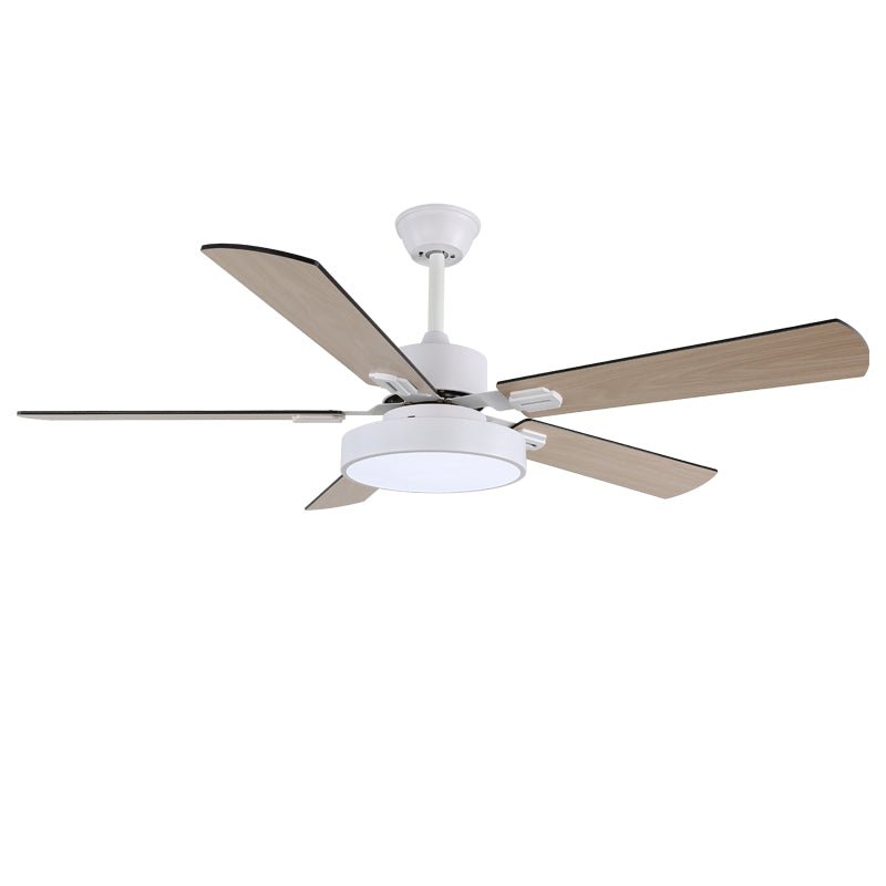 Ventilateur de plafond Licaleco