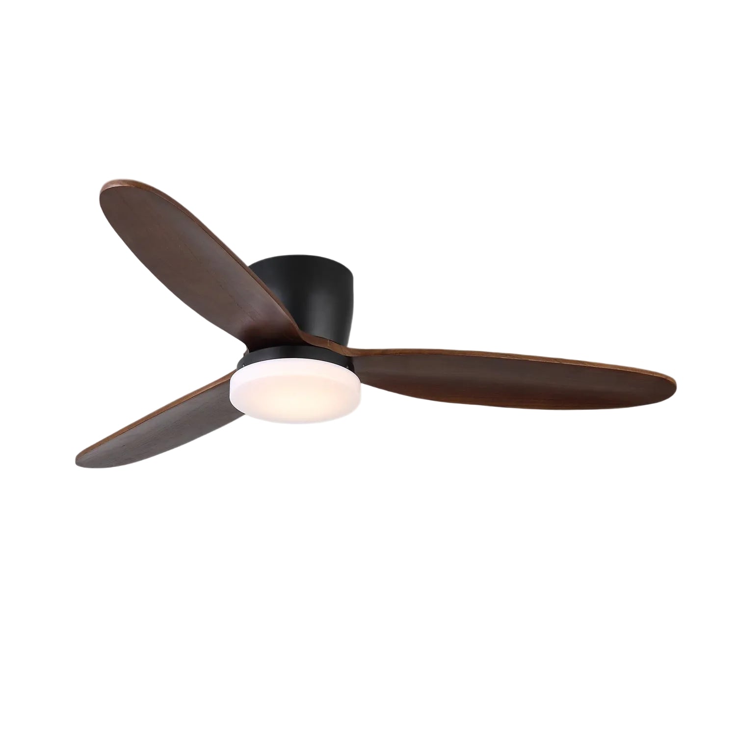 Ventilateur de plafond Quiona