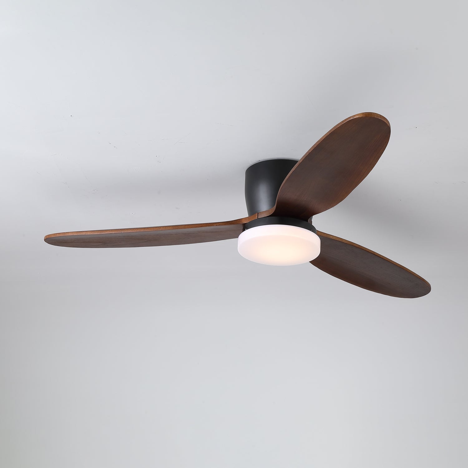 Ventilateur de plafond Quiona