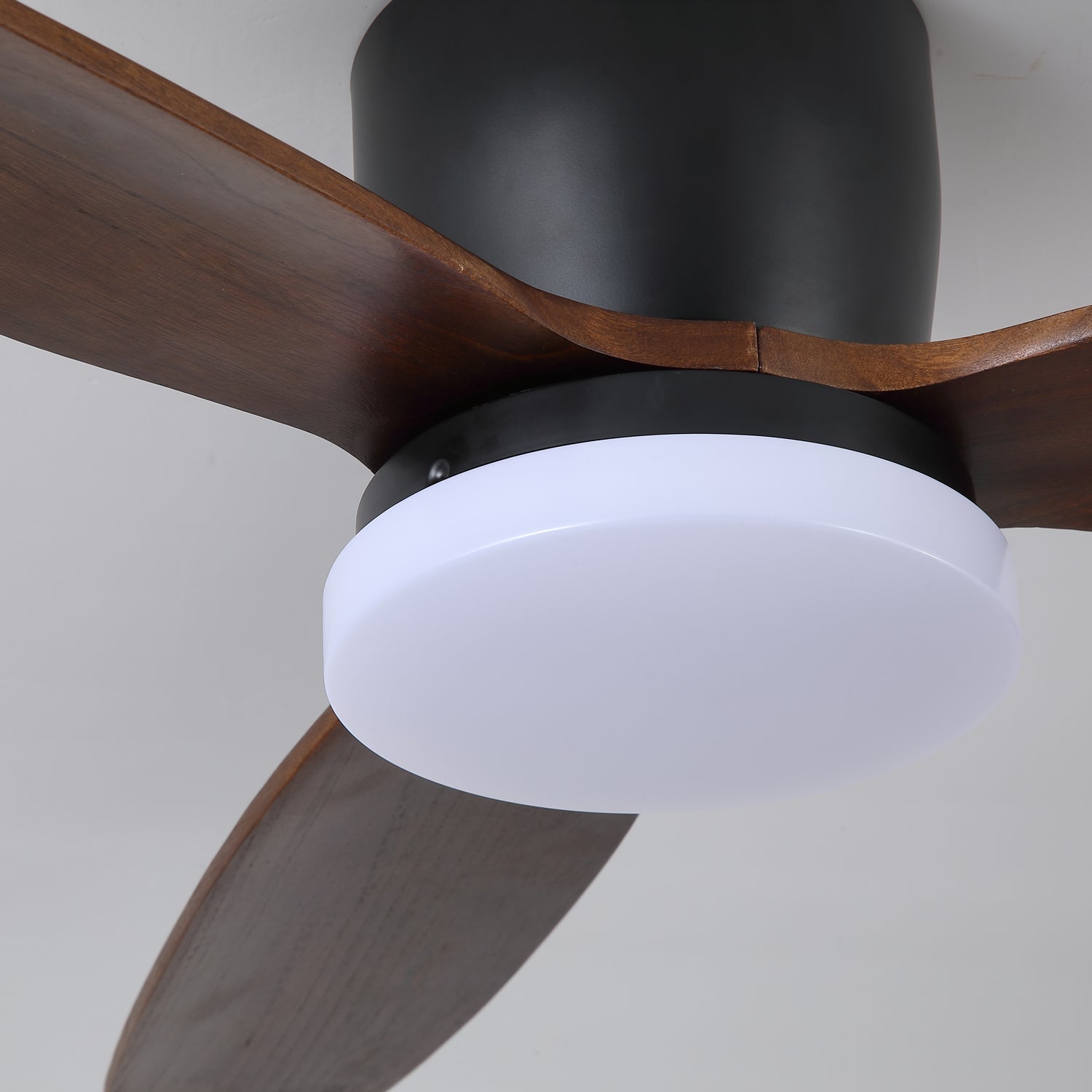 Ventilateur de plafond Quiona