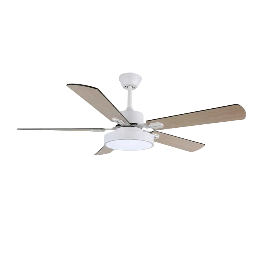 Ventilateur de plafond Licaleco