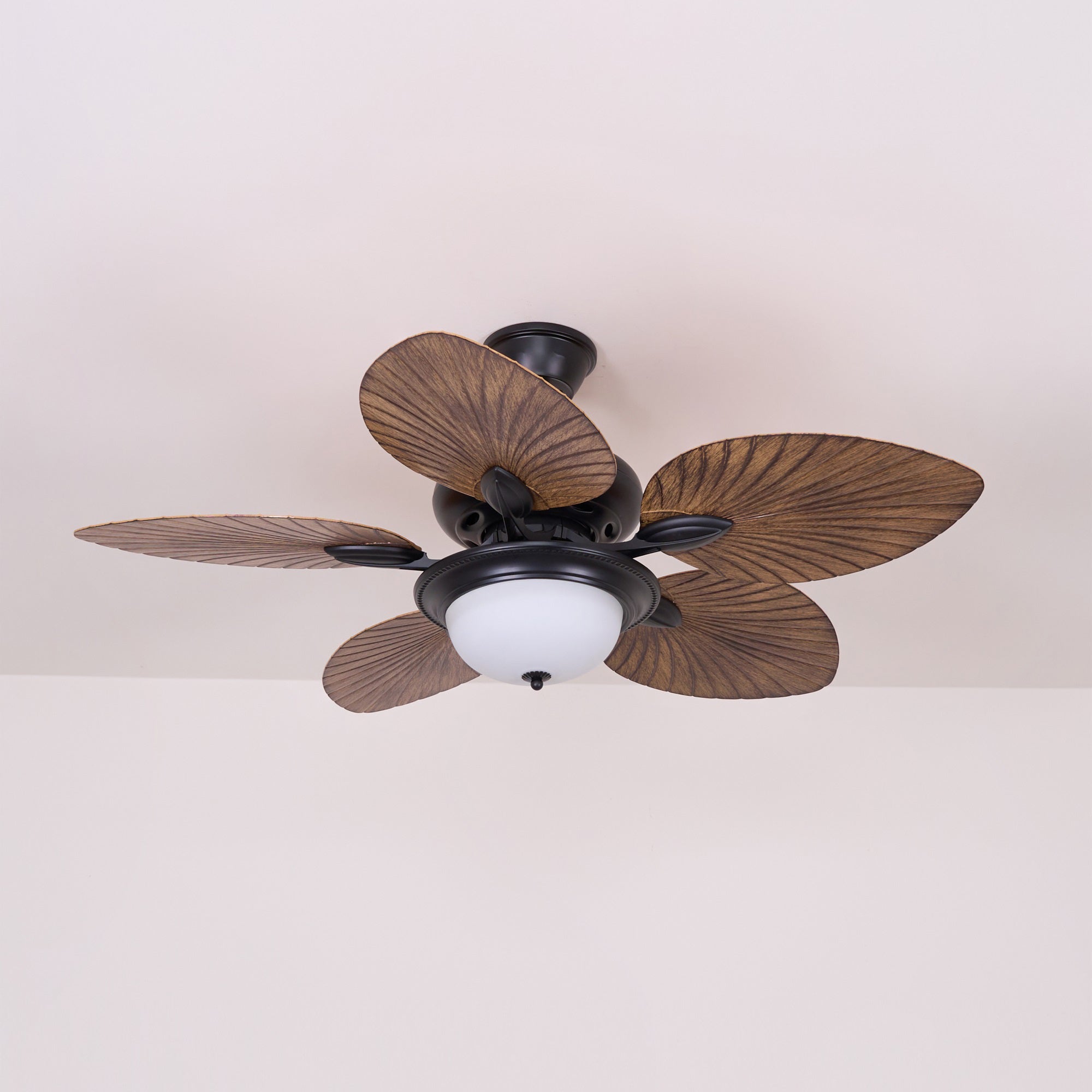 Ventilateur de plafond Raavel