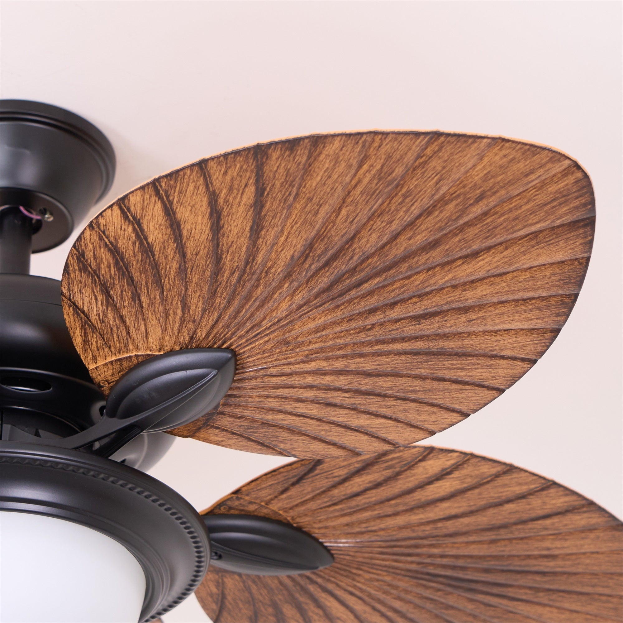 Ventilateur de plafond Raavel