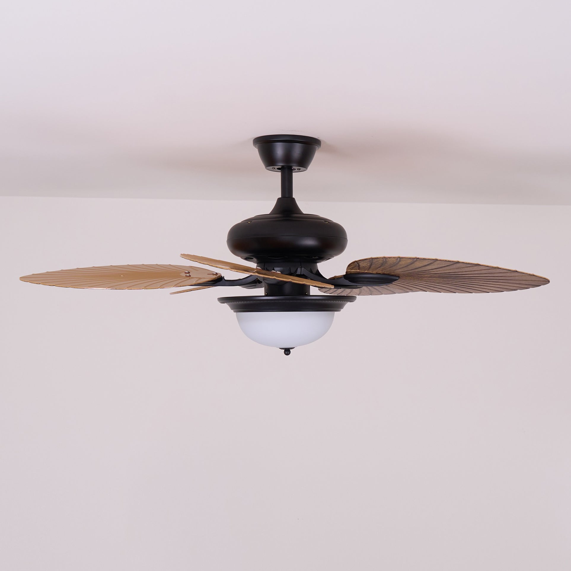 Ventilateur de plafond Raavel