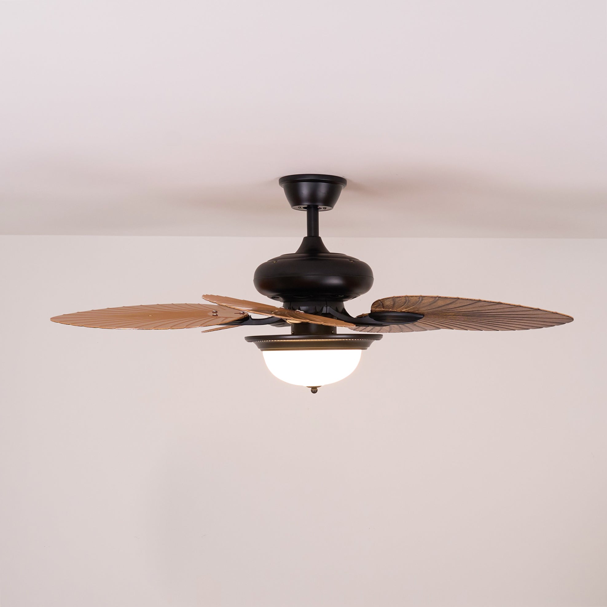 Ventilateur de plafond Raavel