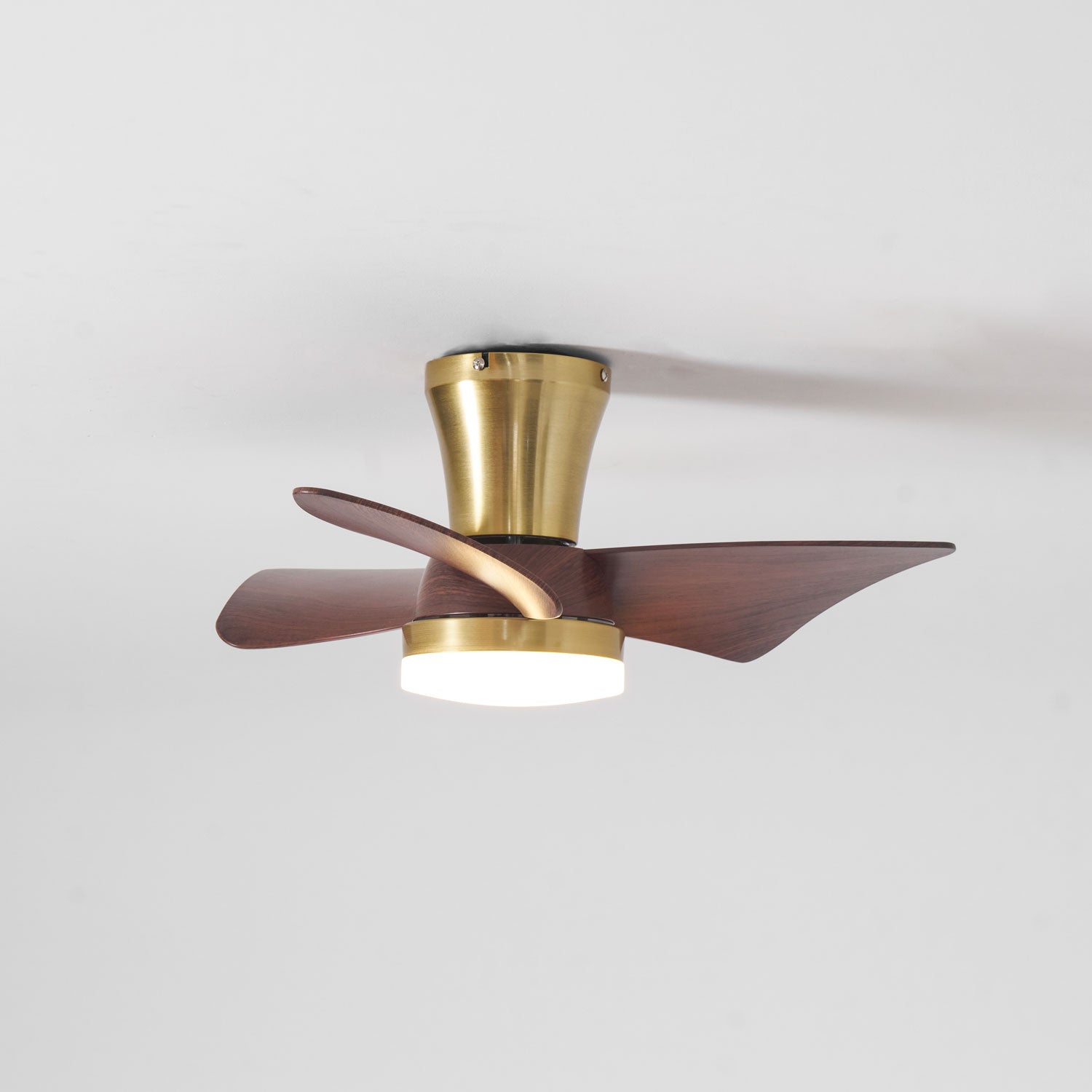 Ventilateur de plafond Sorielis