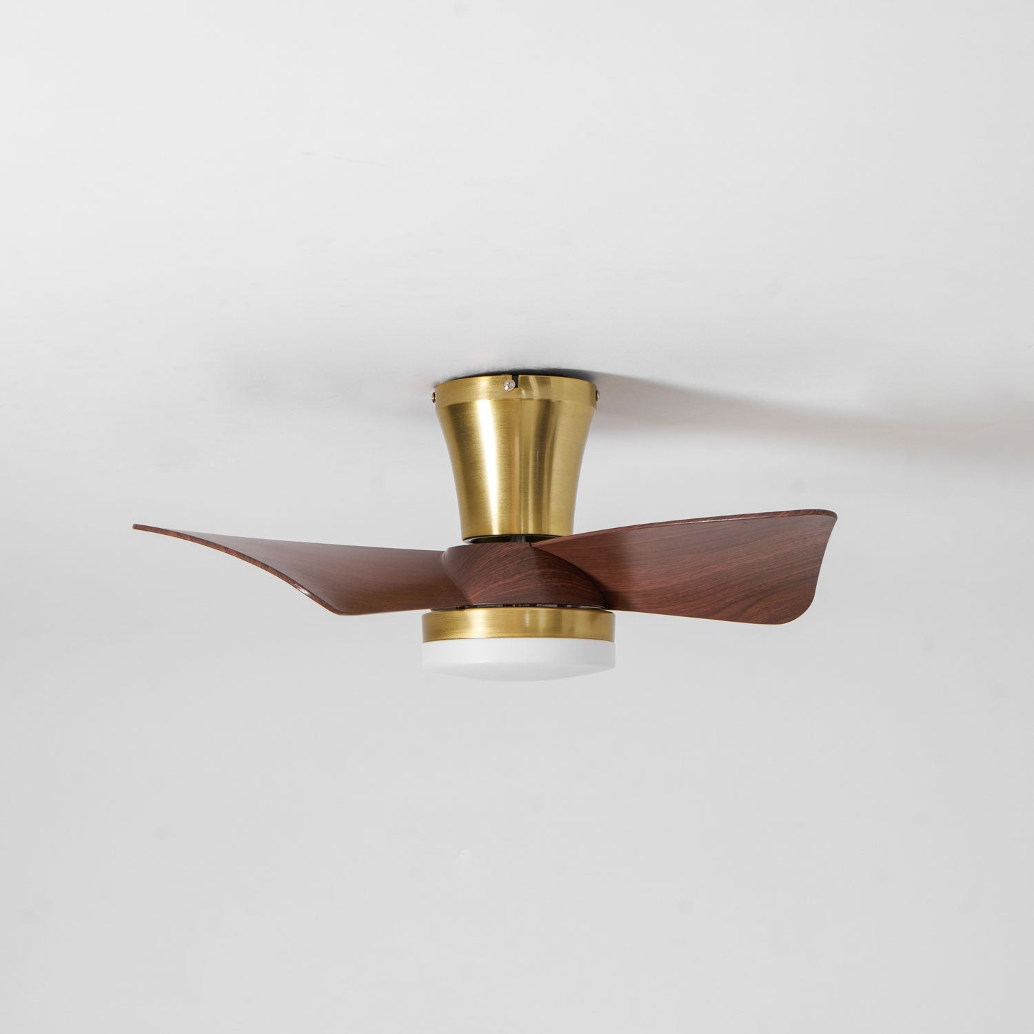 Ventilateur de plafond Sorielis