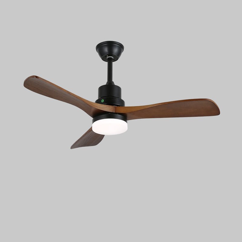 Ventilateur de plafond Delluxor