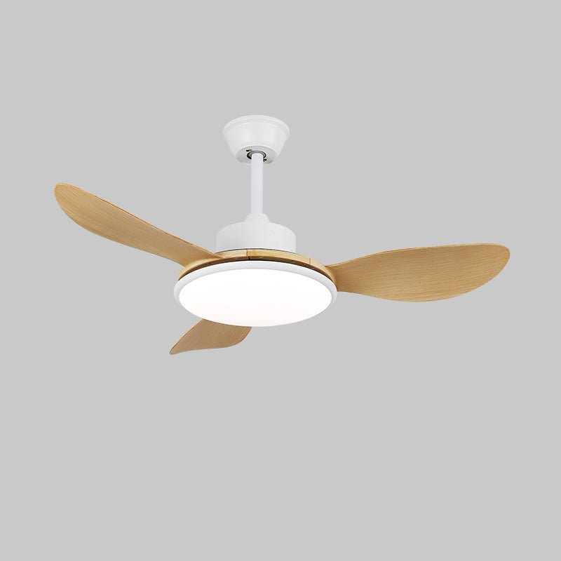 Ventilateur de plafond Ruereno
