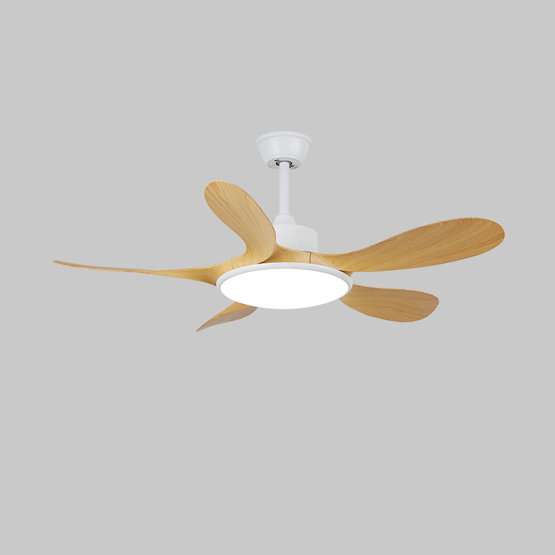 Ventilateur de plafond Ruereno