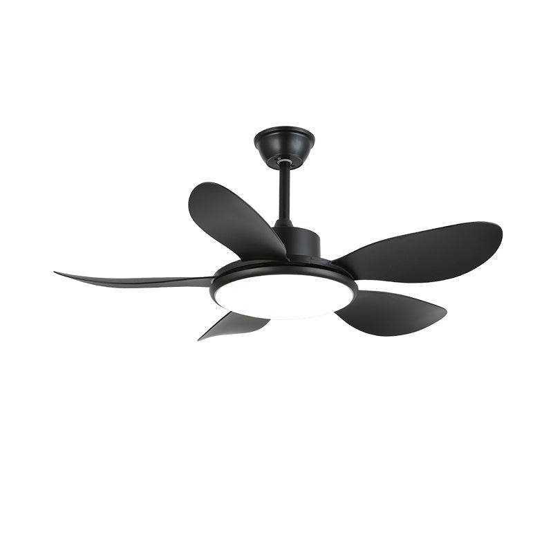 Ventilateur de plafond Ruereno