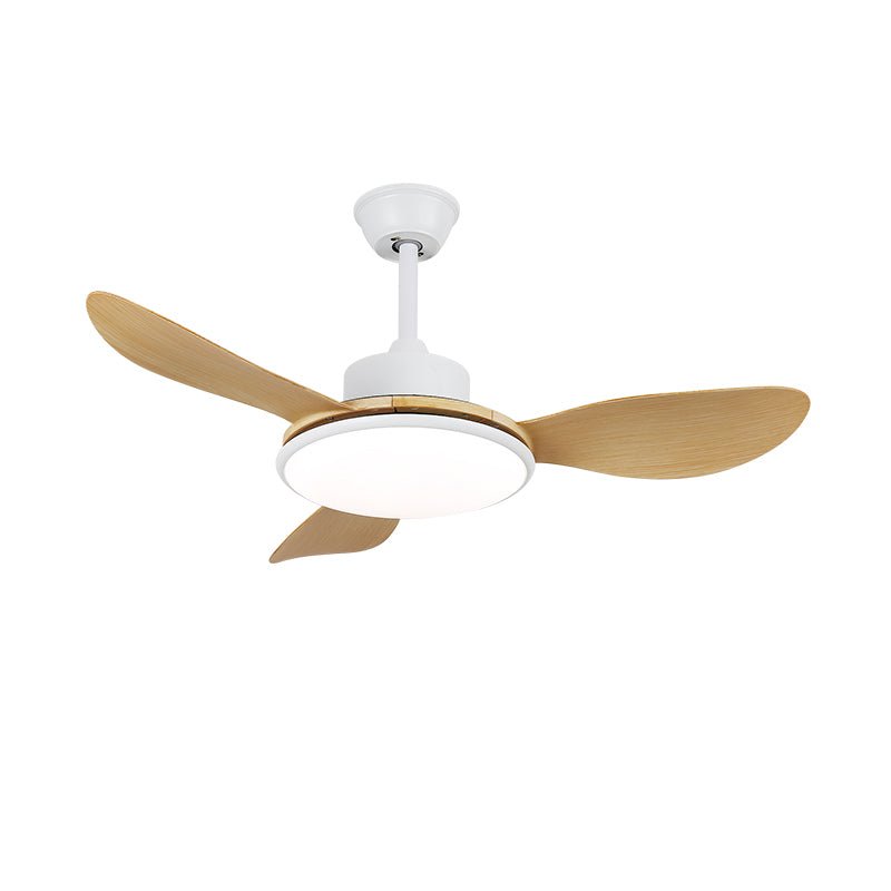 Ventilateur de plafond Ruereno