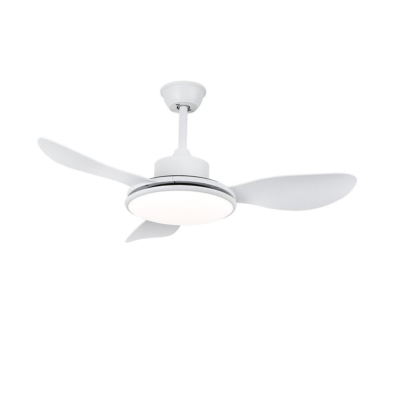 Ventilateur de plafond Ruereno