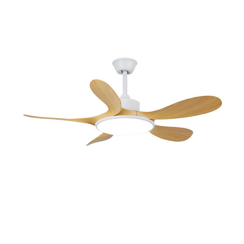 Ventilateur de plafond Ruereno