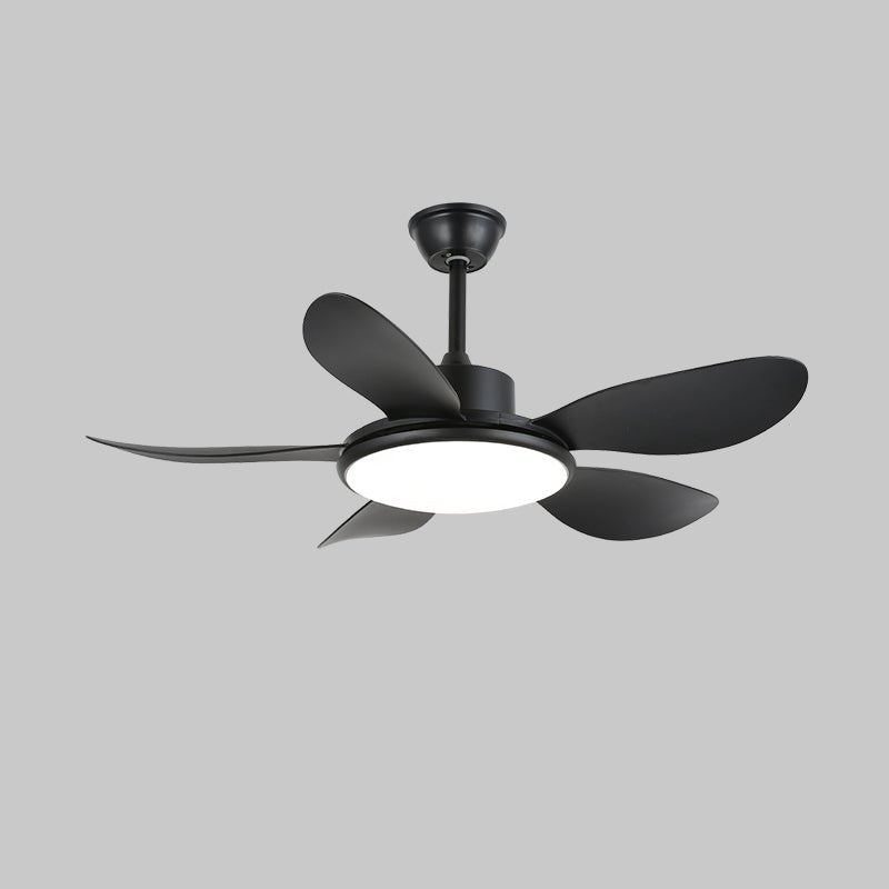 Ventilateur de plafond Ruereno