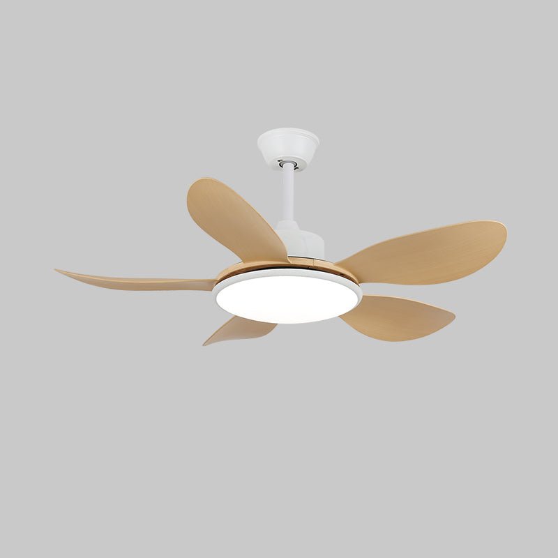 Ventilateur de plafond Ruereno