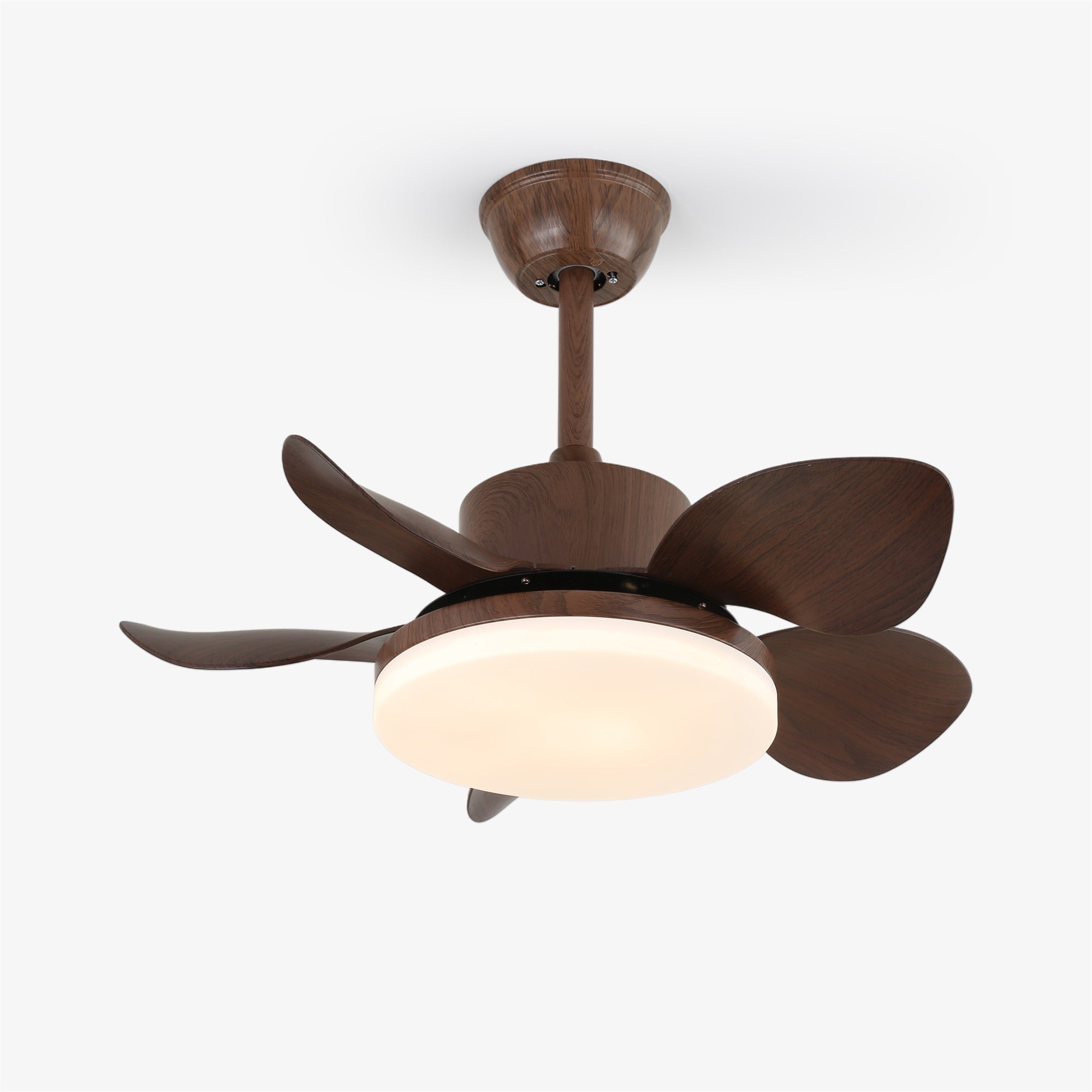 Ventilateur de plafond Lilienova