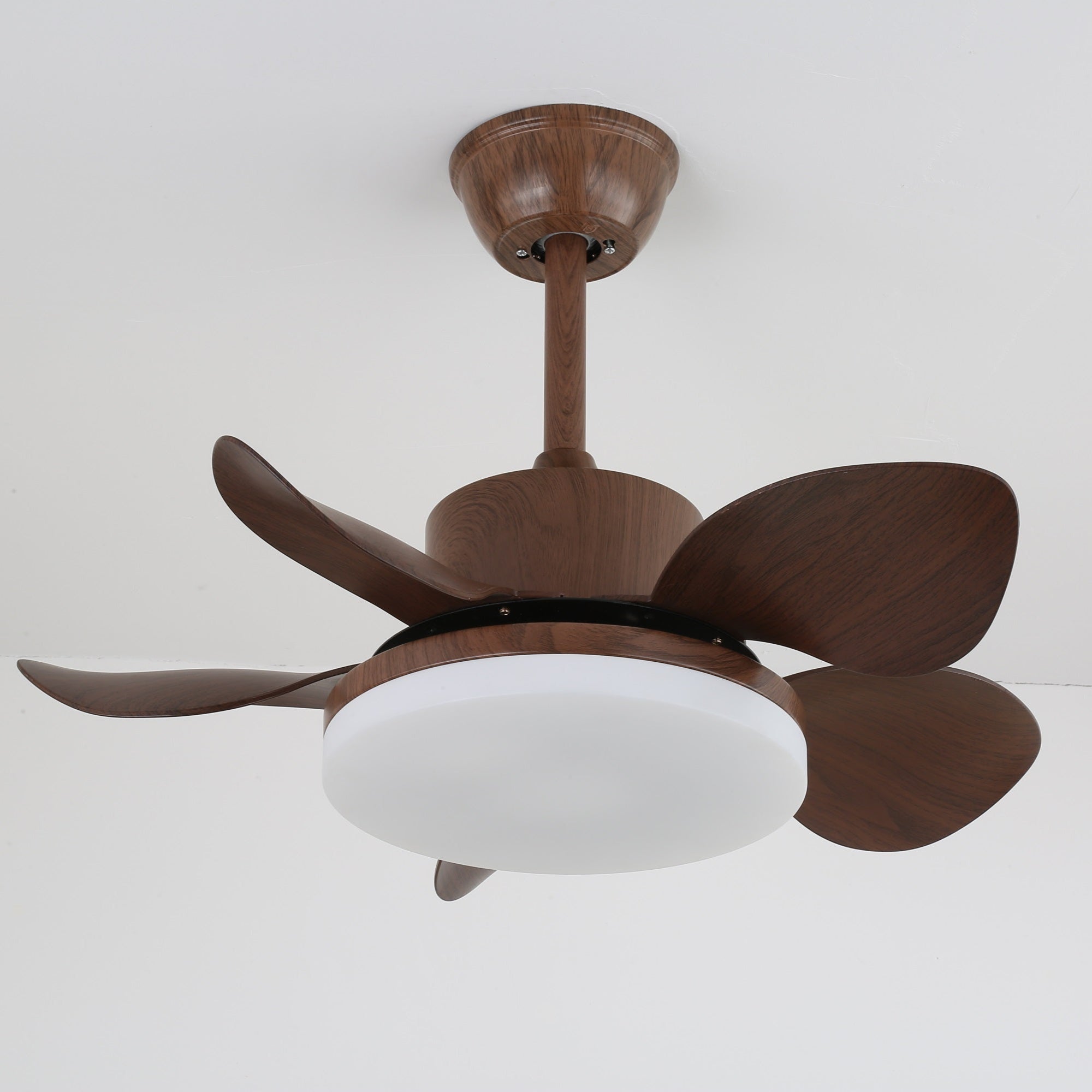 Ventilateur de plafond Lilienova