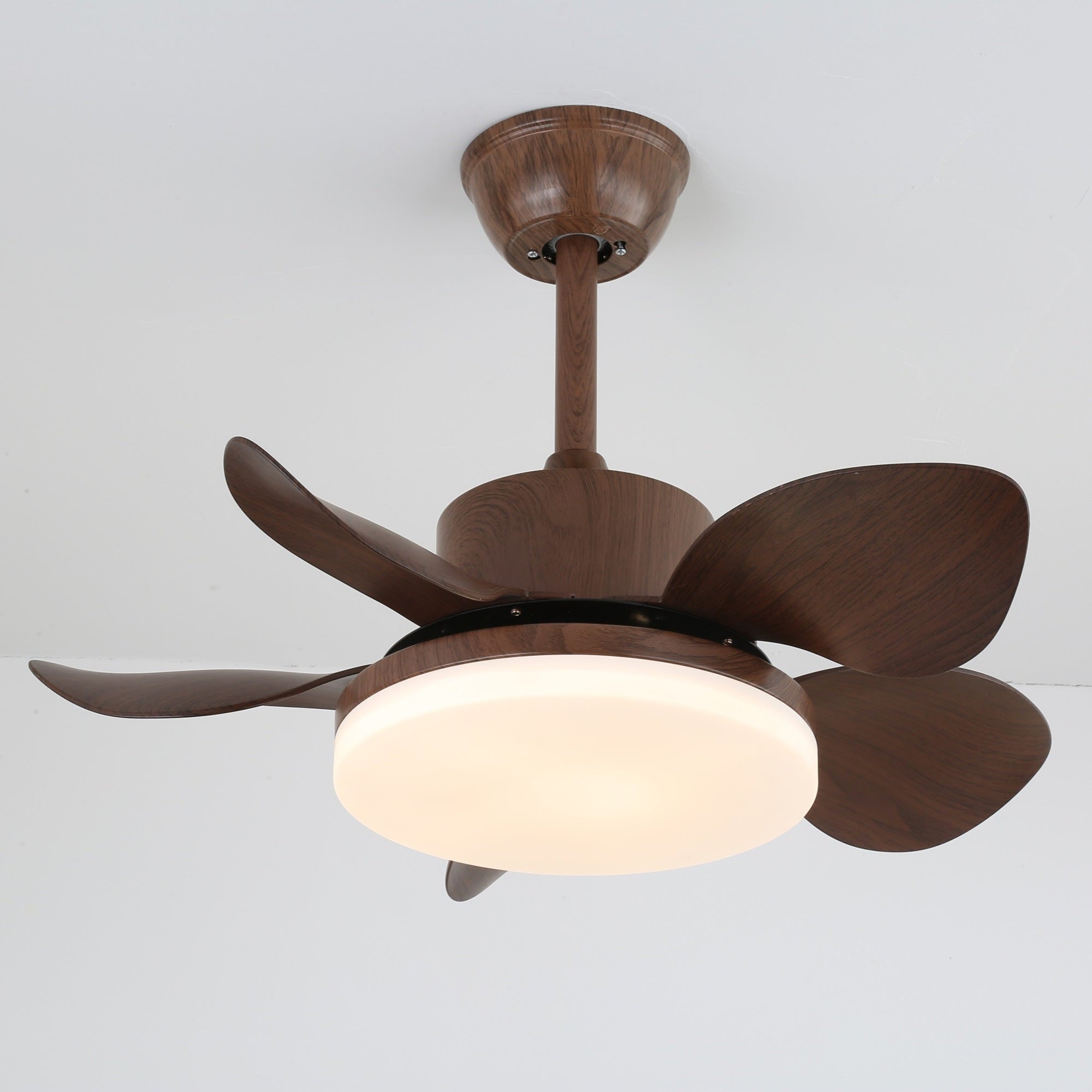 Ventilateur de plafond Lilienova