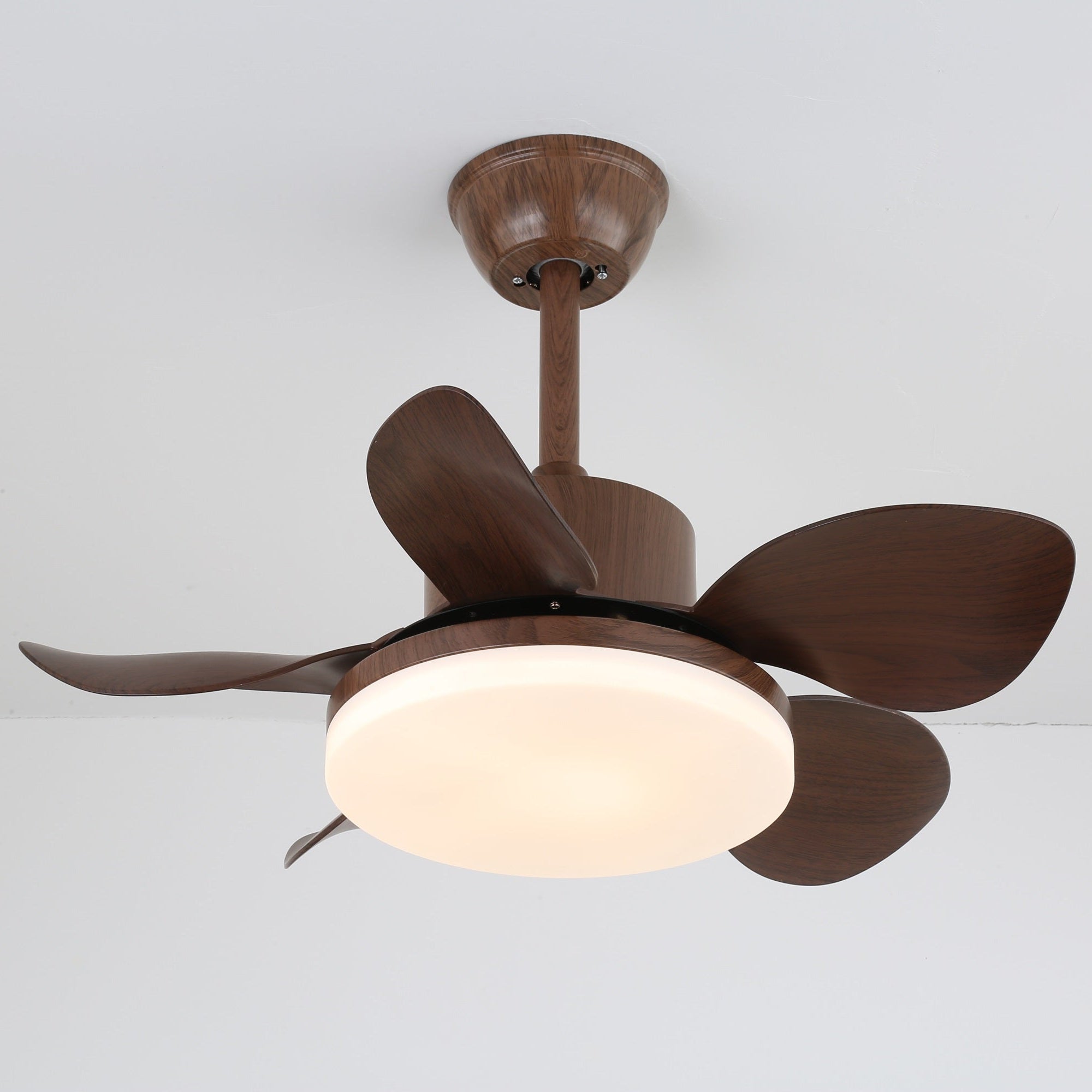 Ventilateur de plafond Lilienova