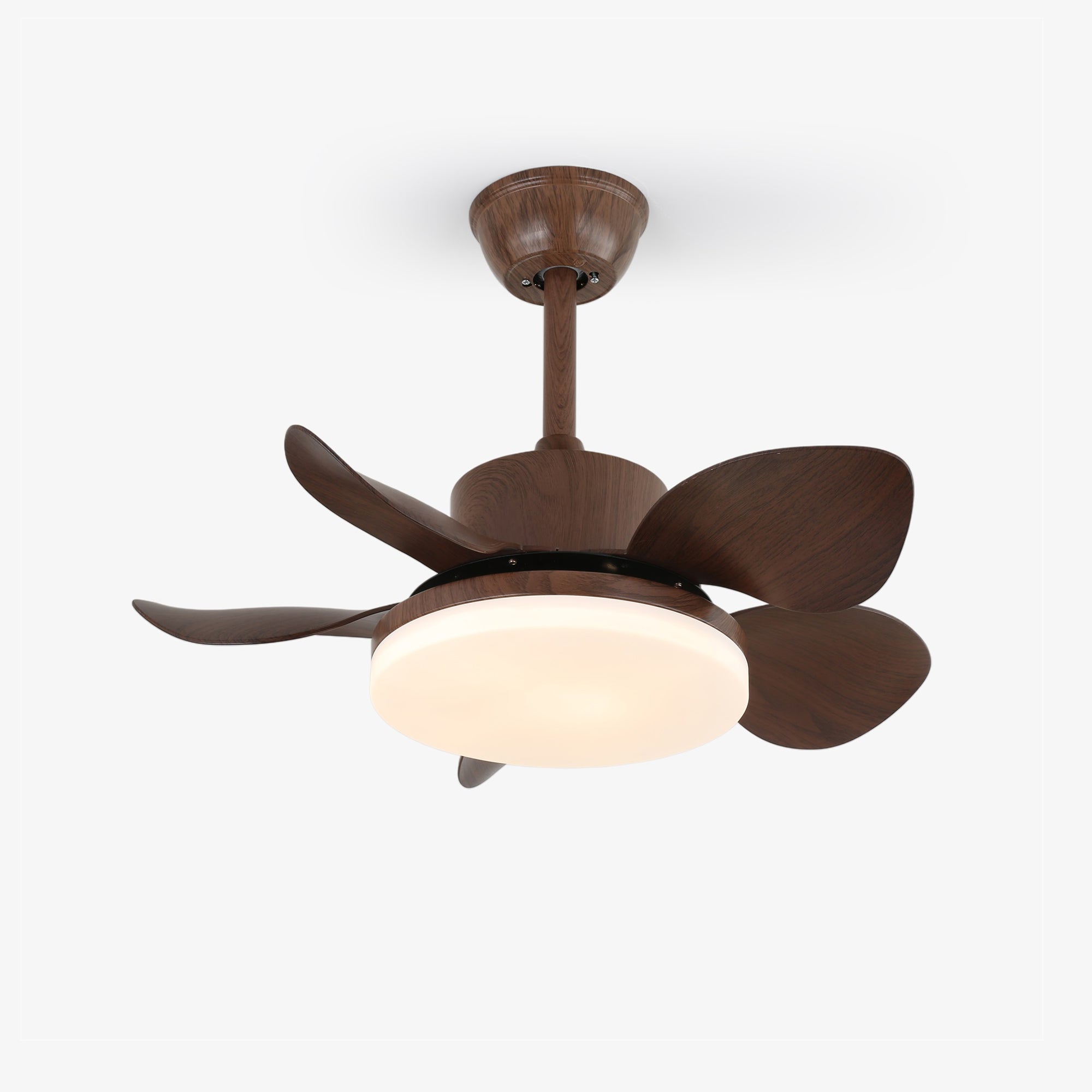 Ventilateur de plafond Lilienova