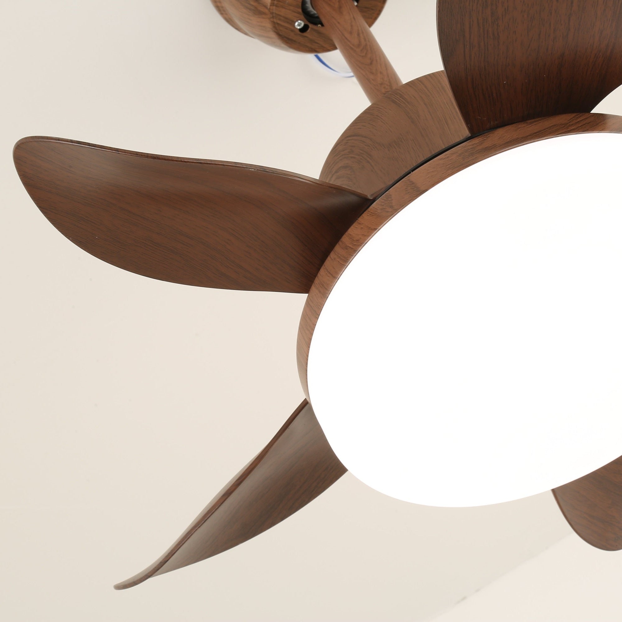 Ventilateur de plafond Lilienova