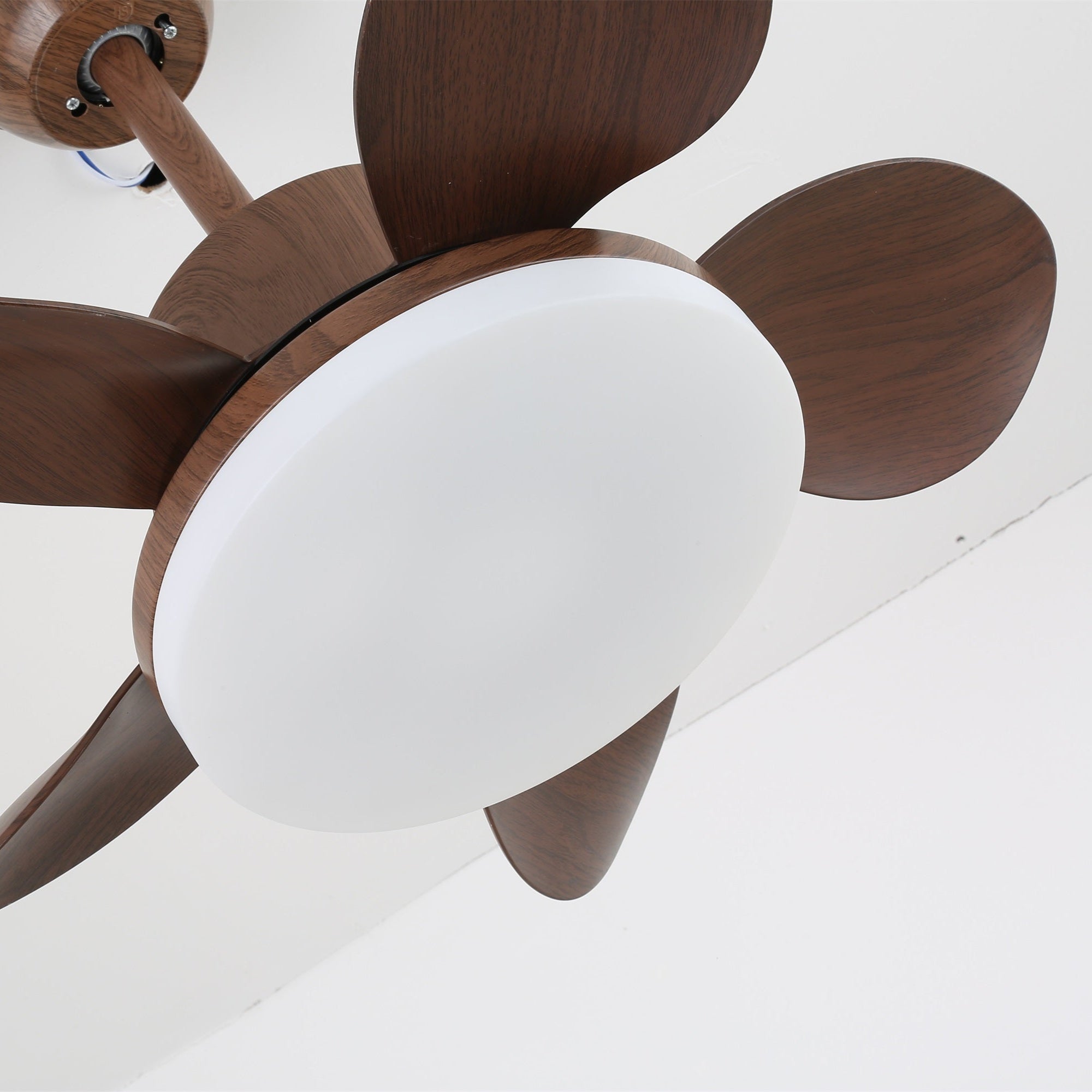 Ventilateur de plafond Lilienova
