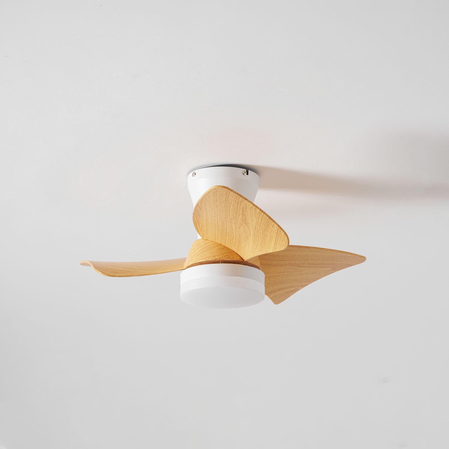 Ventilateur de plafond Taéllya