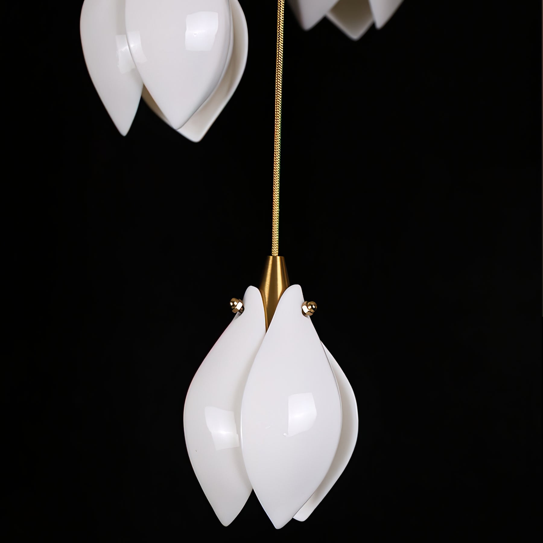 Suspension florale Zoeravel