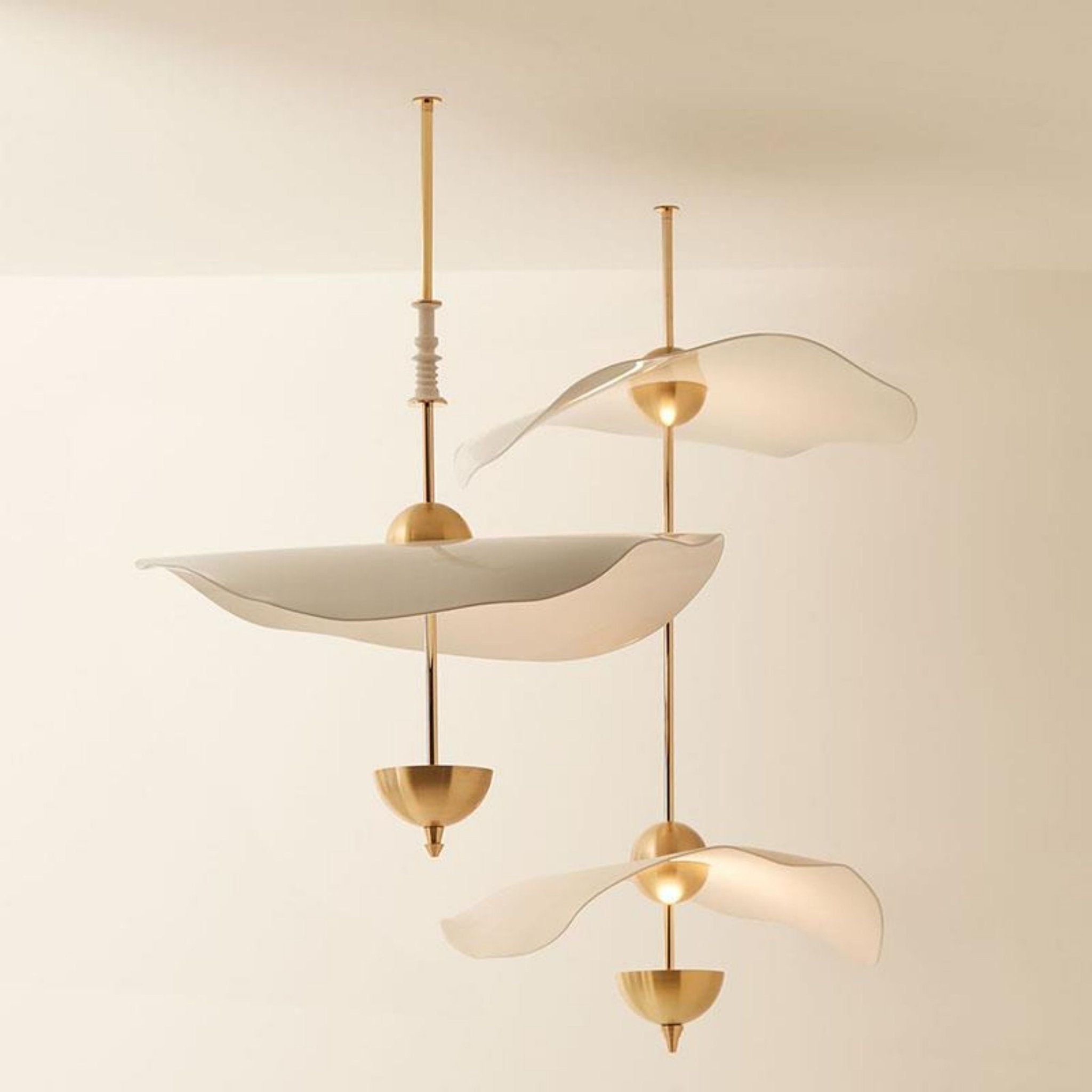 Suspension Velravor
