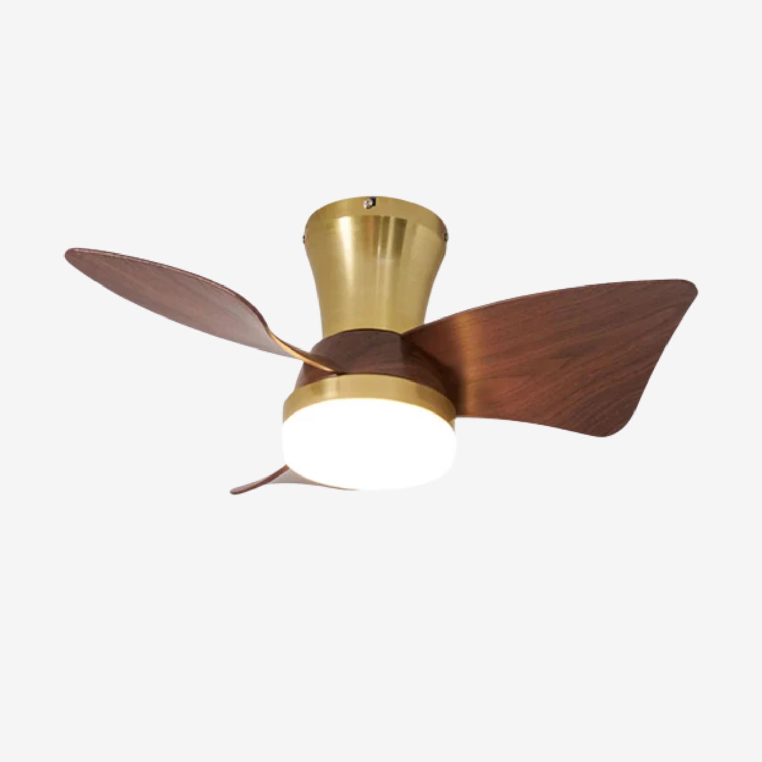 Ventilateur de plafond Sorielis