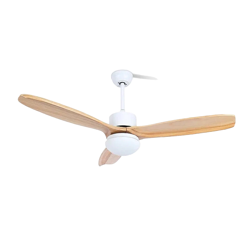 Ventilateur de plafond Duuiné