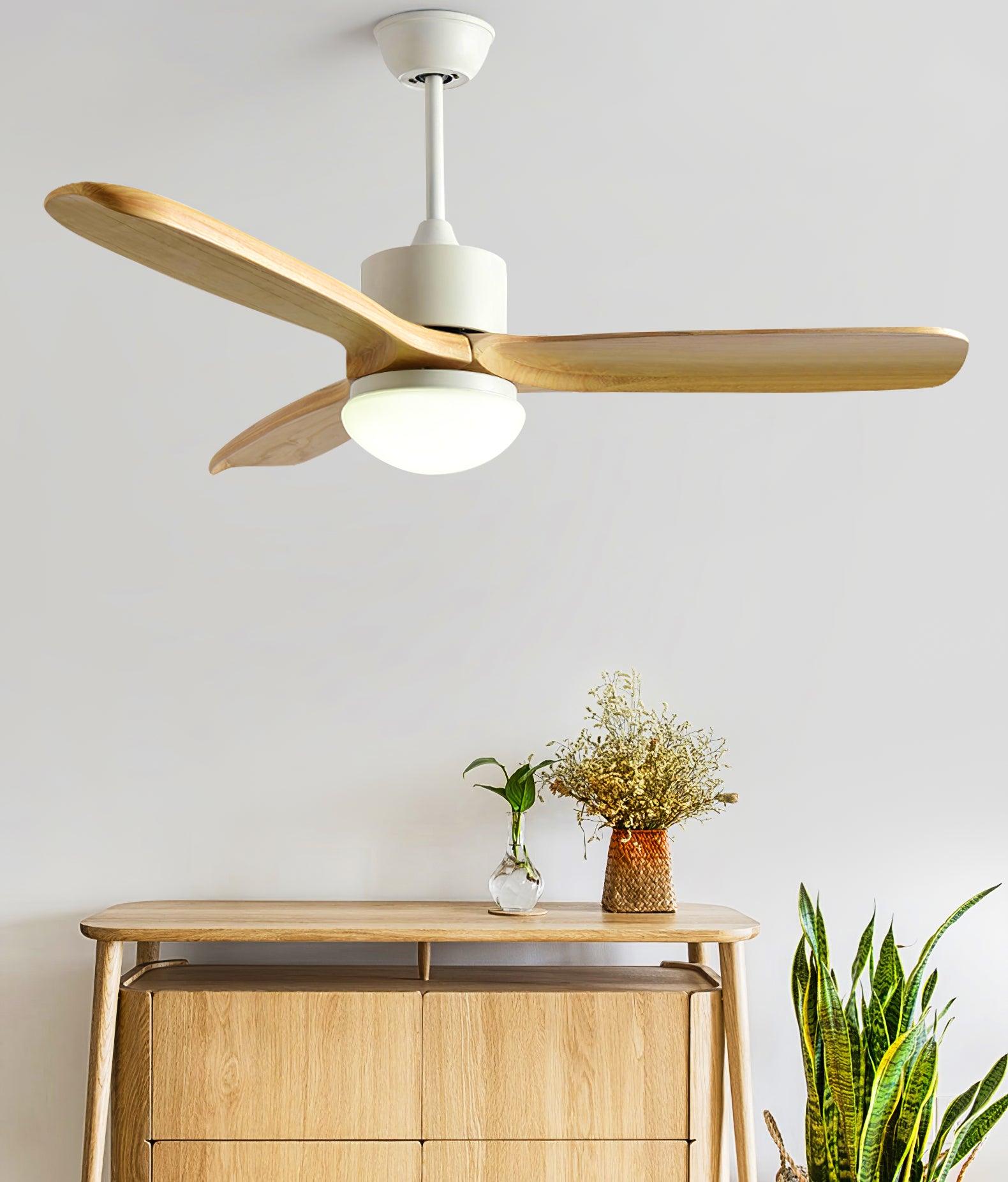 Ventilateur de plafond Duuiné