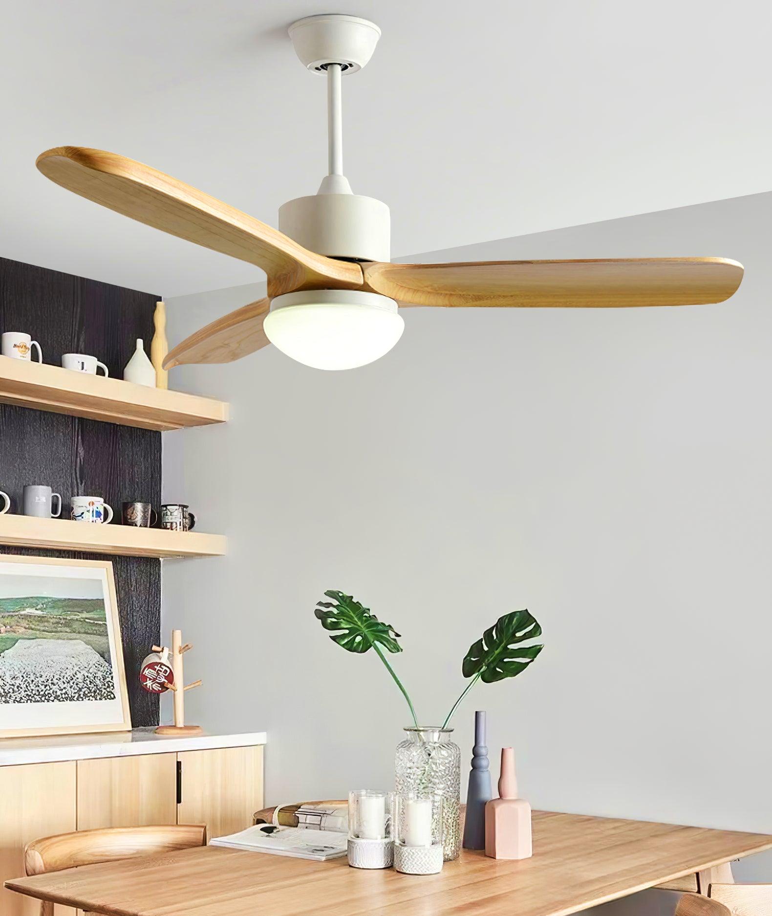 Ventilateur de plafond Duuiné