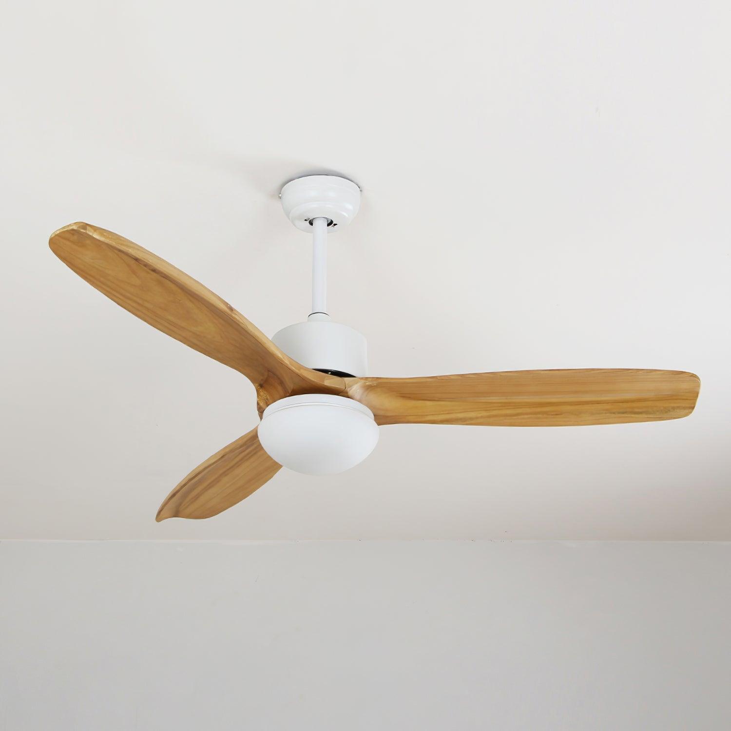 Ventilateur de plafond Duuiné