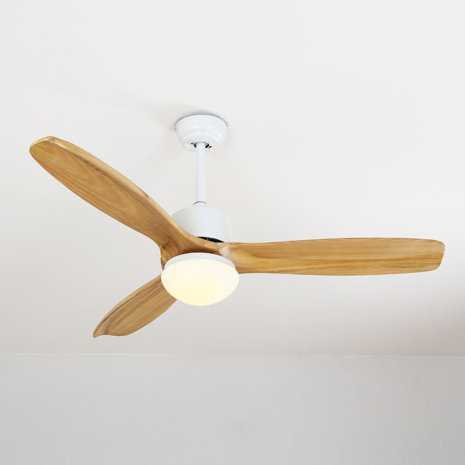 Ventilateur de plafond Duuiné