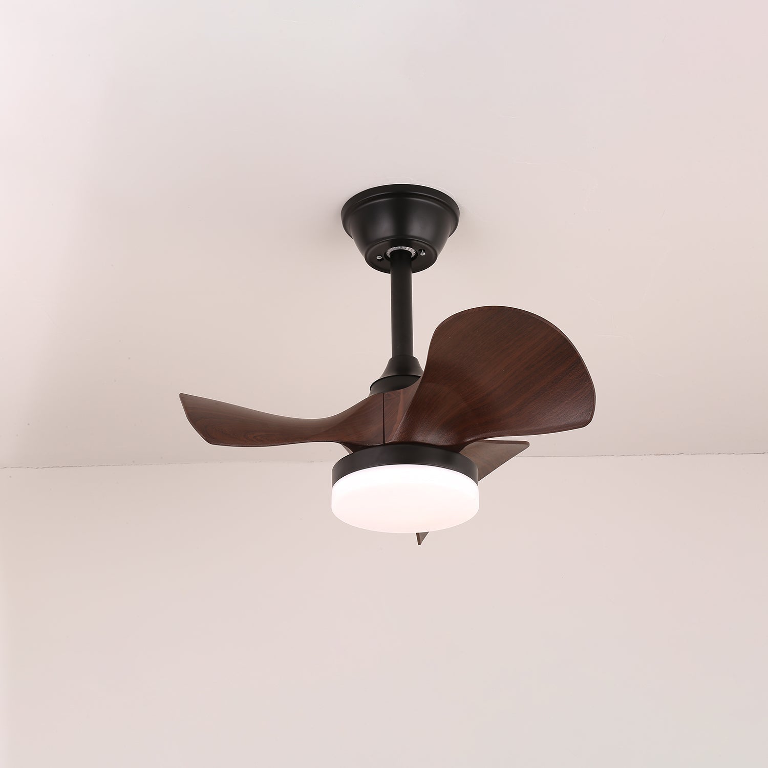 Ventilateur de plafond Belsorina