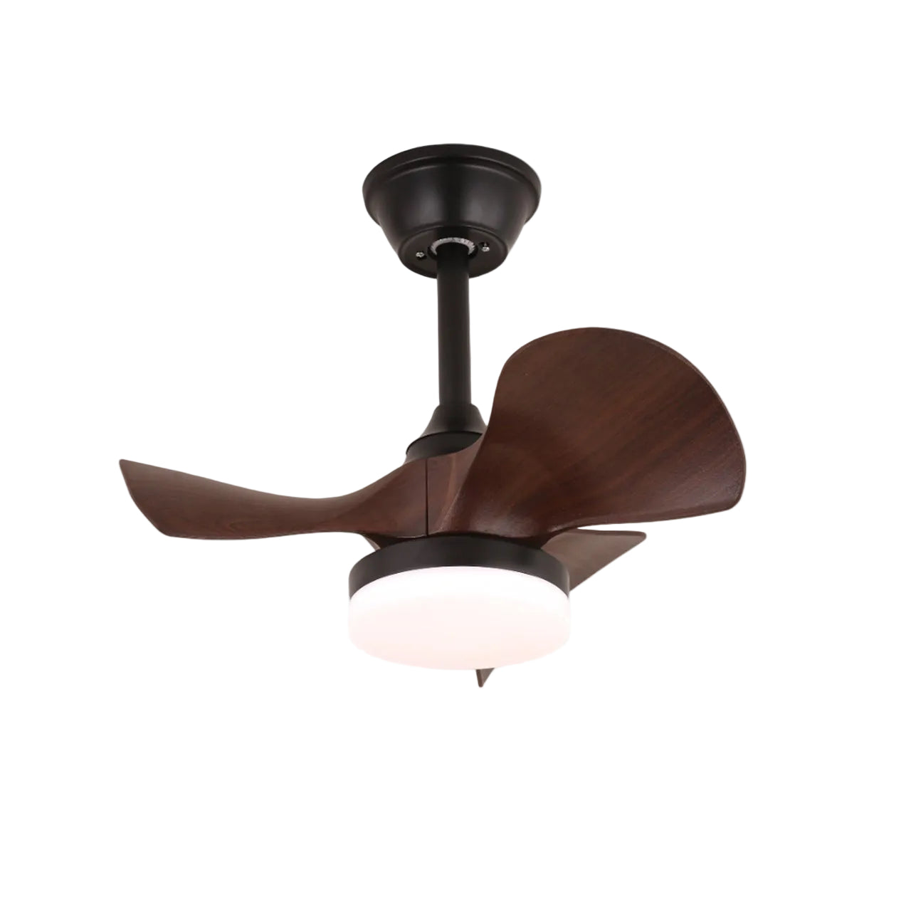 Ventilateur de plafond Belsorina