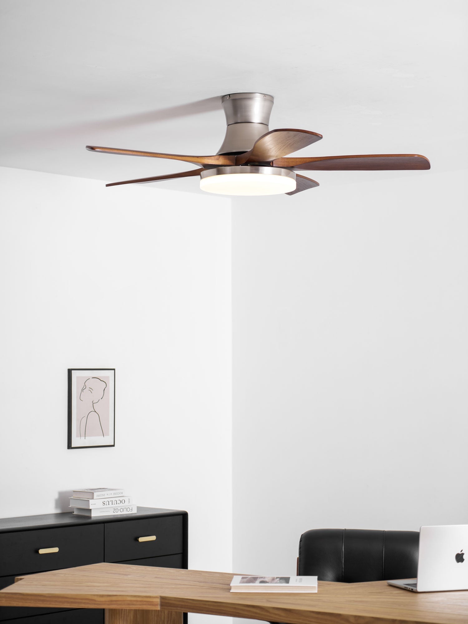 Ventilateur de plafond Iruneo