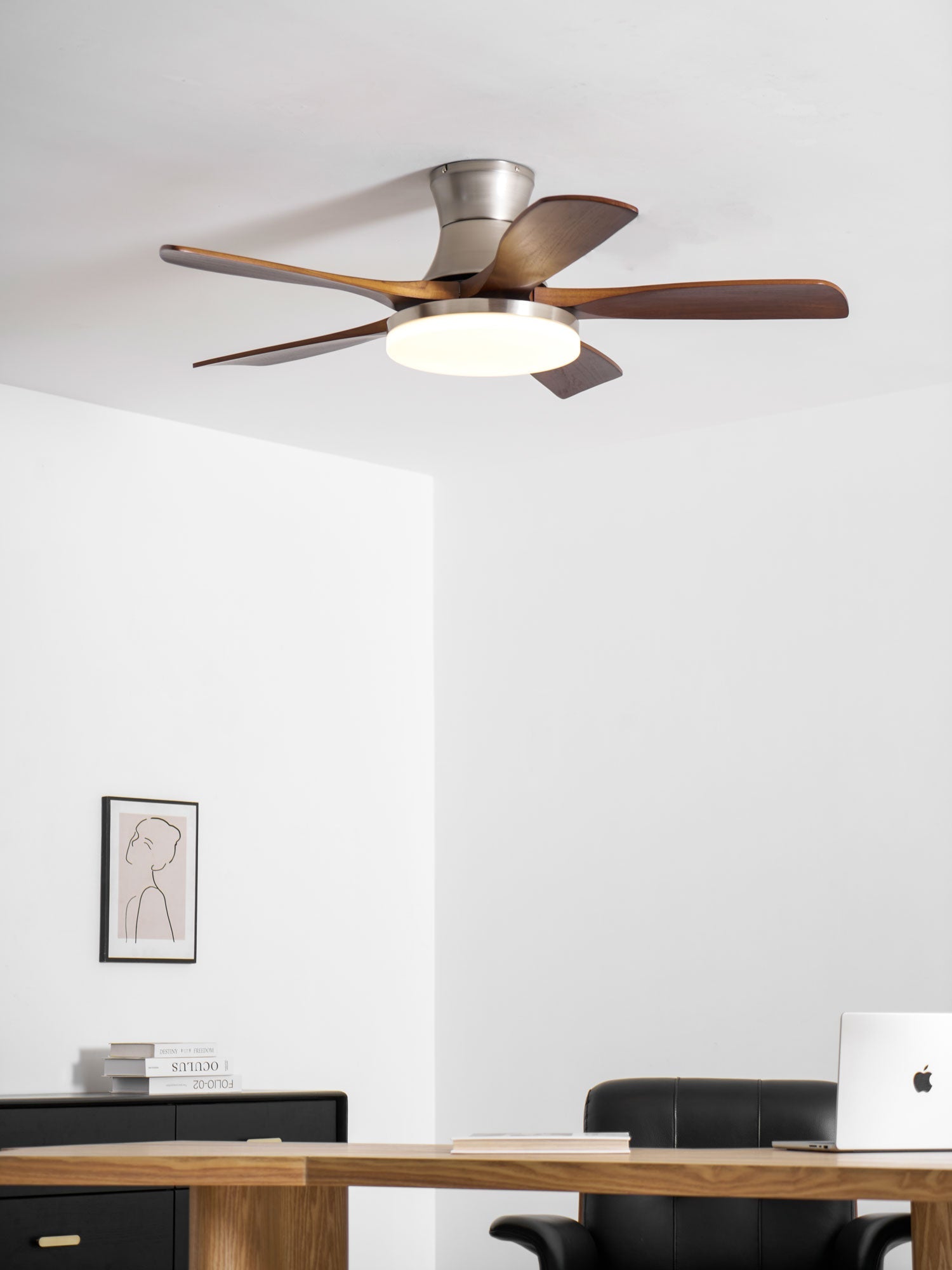 Ventilateur de plafond Iruneo