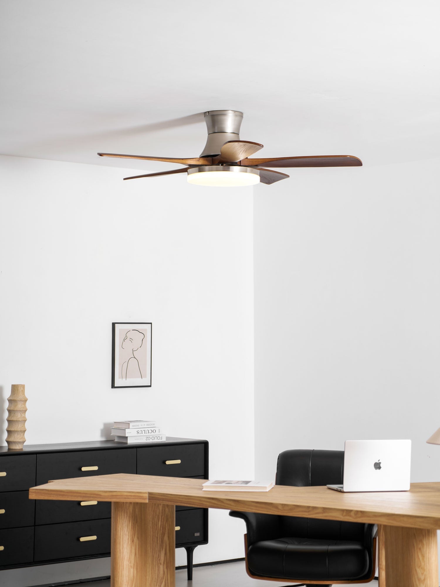 Ventilateur de plafond Iruneo