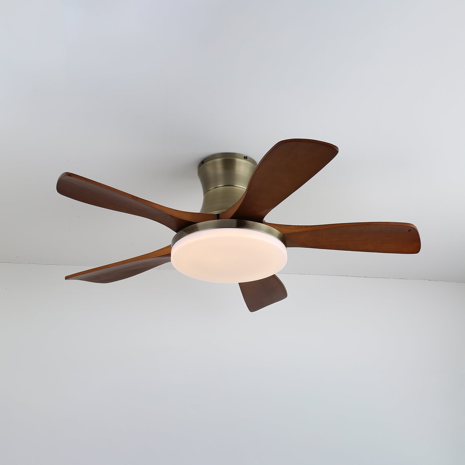 Ventilateur de plafond Iruneo