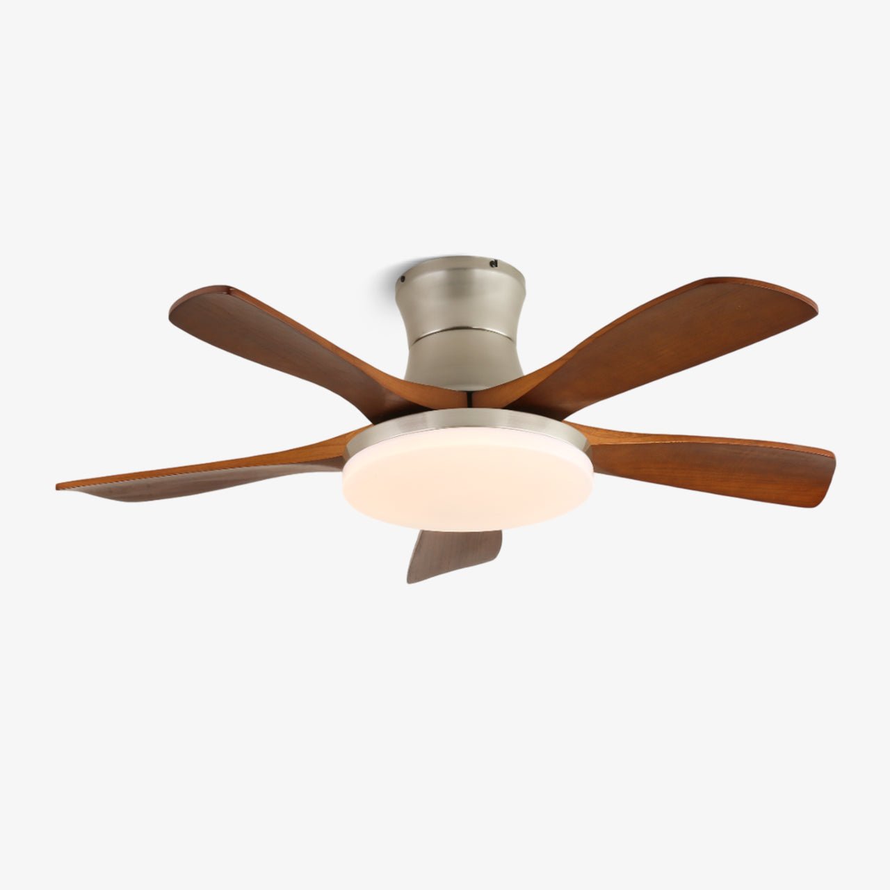 Ventilateur de plafond Iruneo